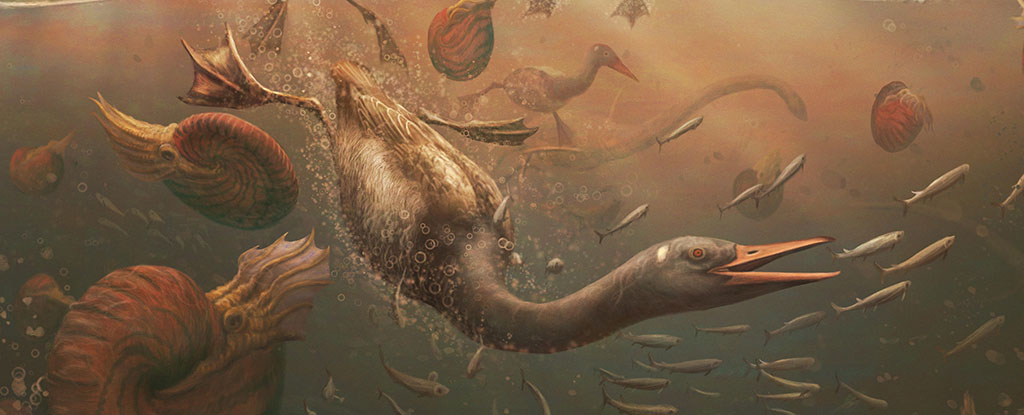 illustration of a brown feathered diving water bird, swimming underwater while ammonites and fish flee. the water is brown and hazy.