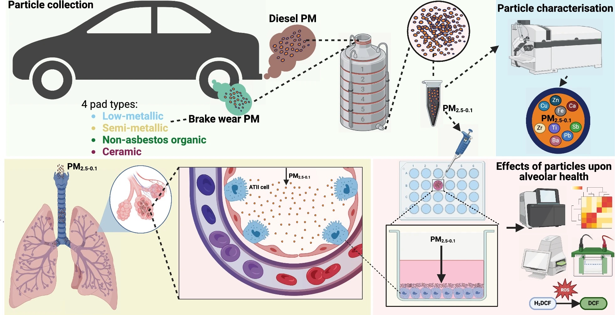 diagram shows research methods collecting brake wear particles from car brake pads, testing on alveolar cells, and compared with diesel particle effects