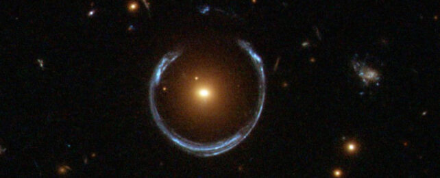 cosmic horseshoe