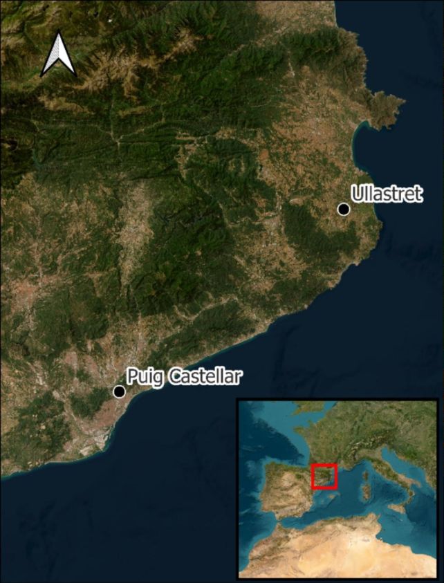 Iron Age Iberians Drove Nails Into Skulls. The Reasons Why May Have Varied