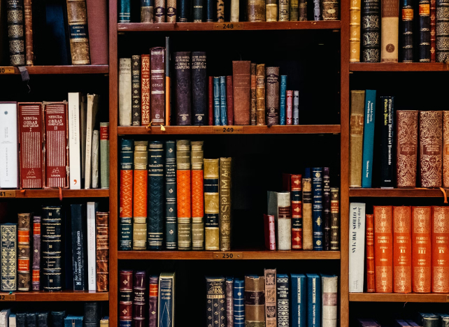 shelves of library books