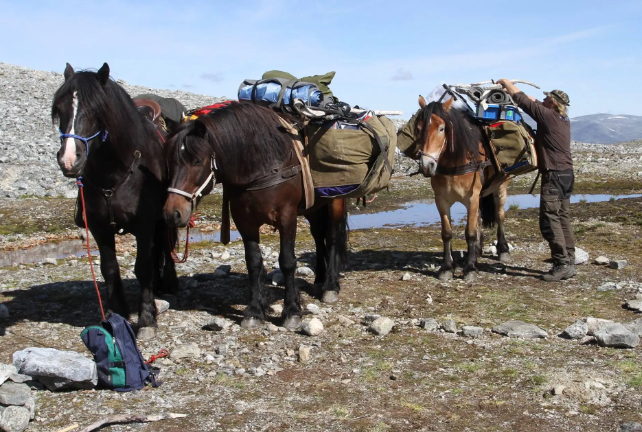 Norway's Melting Glaciers Are Spilling Out Troves of Lost Artifacts