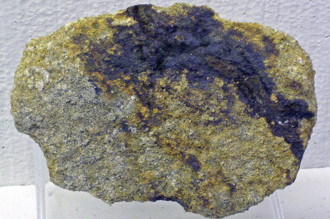 rock with selenium