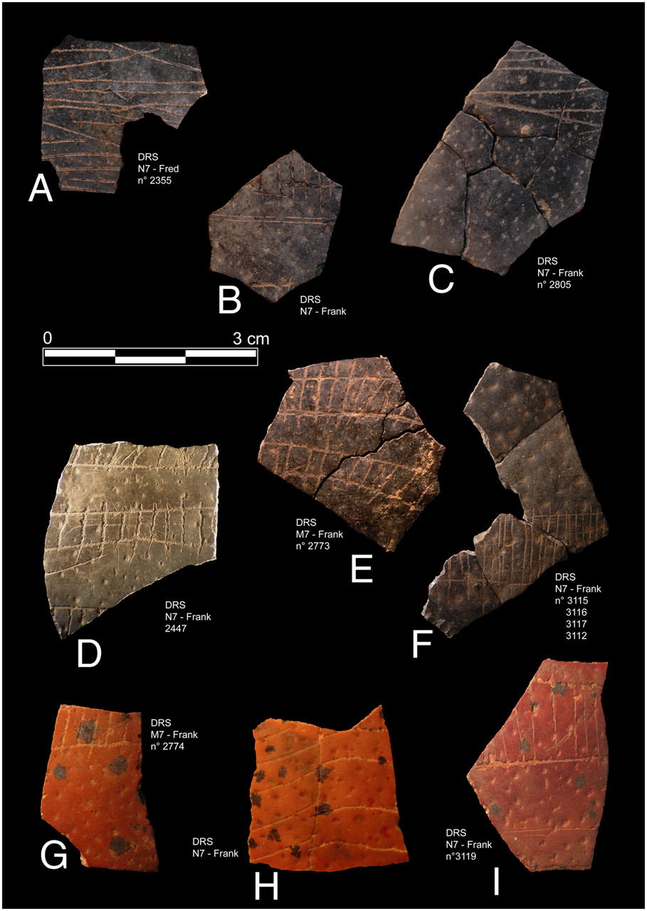 Fragments of grey to red egg shells with engraved lines