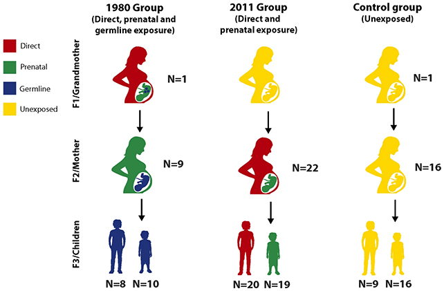 Genetic chart