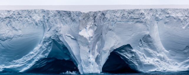 Wildlife Haven Spared Impact as World's Largest Iceberg Grinds to a Halt