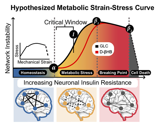 Neuron stress