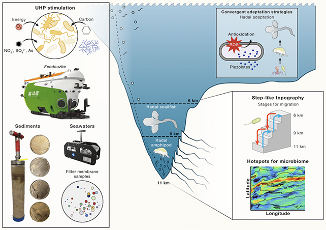 Reseach diagram