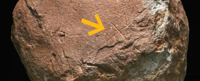 This Ancient Scratch May Be One of Humanity's Oldest Rock Symbols