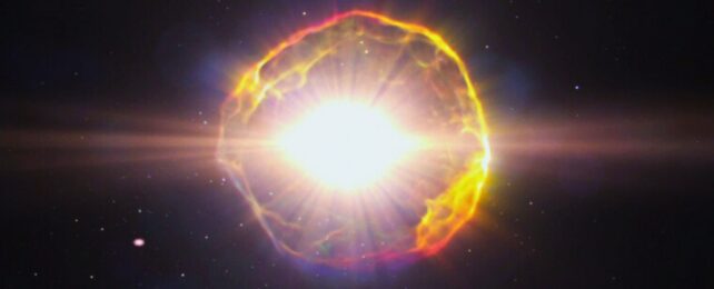 Violent Supernovae Could Have Triggered at Least 2 Extinction Events