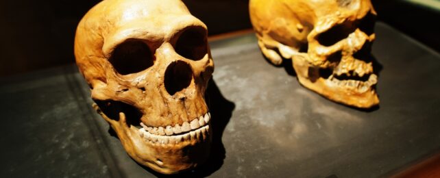 Our Genes Reveal Mysterious Split in Human Population 1.5 Million Years Ago