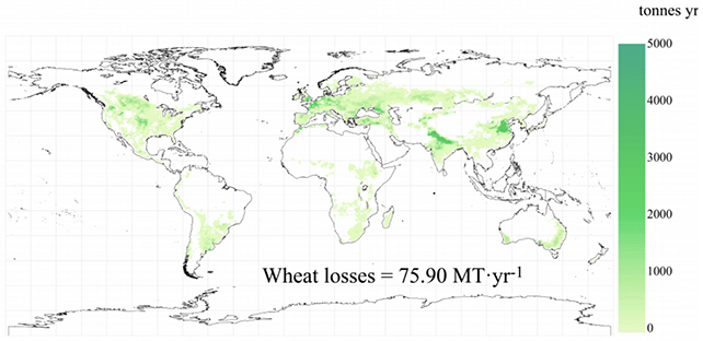 Rice map