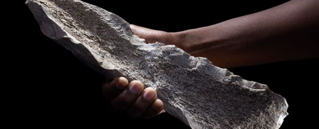 Discovery of 1.5-Million-Year-Old Bone Tools Rewrites Early Human History