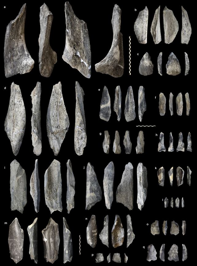 These Are Human Made Bone Tools Dating Back 1.5 Million Years