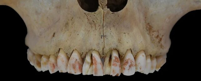 'Red Princess': Mysterious Skeleton With Dyed Teeth Is a Scientific First