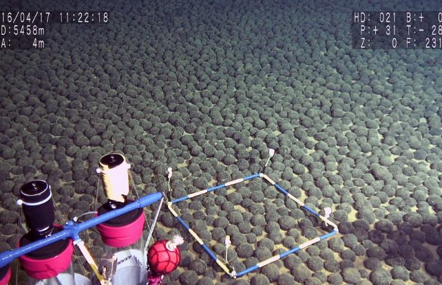 metallic nodules on sea floor