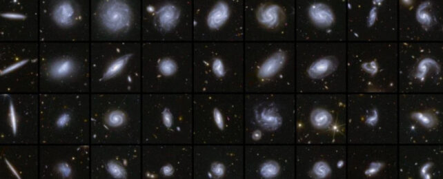 galaxies in euclid's deep field