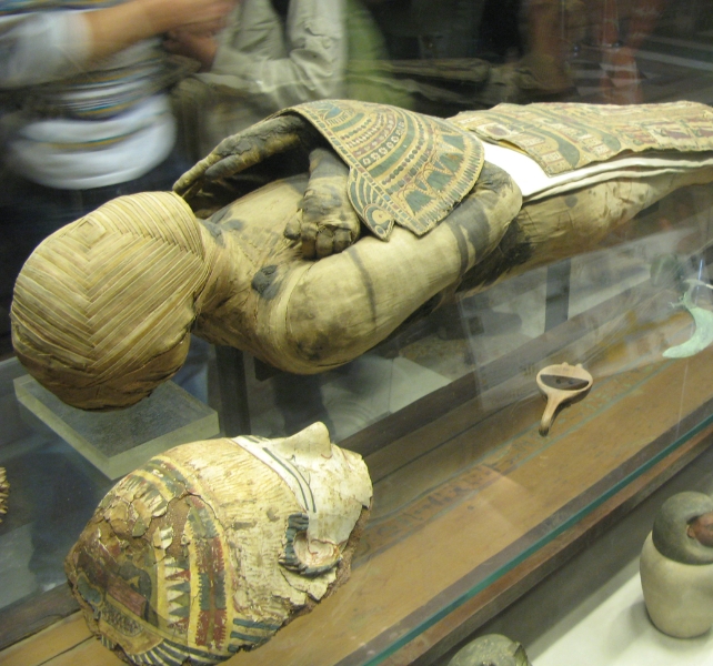 mummified remains on display