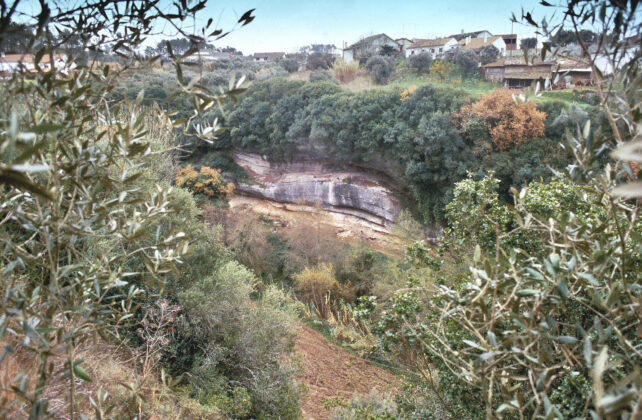 Lapedo Rock Shelter