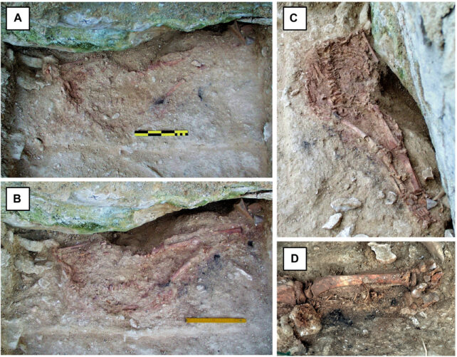 Mysterious Twist Published in Saga of Human-Neanderthal Hybrid Kid