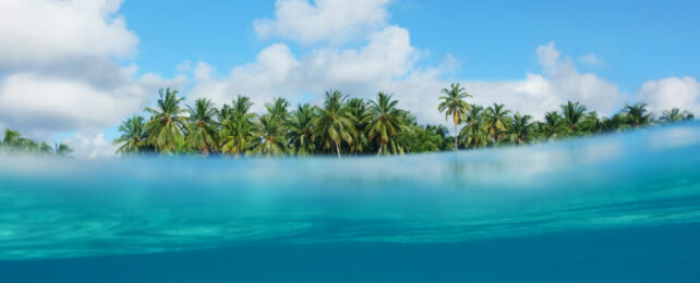 view of an island from underwater