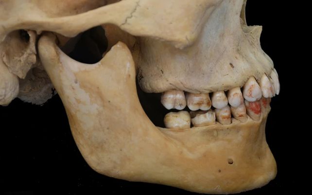 'Red Princess' Burial Is The First Ever Seen With Teeth Dyed Red With Toxic Cinnabar