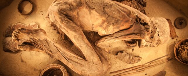 egyptian mummy in turin