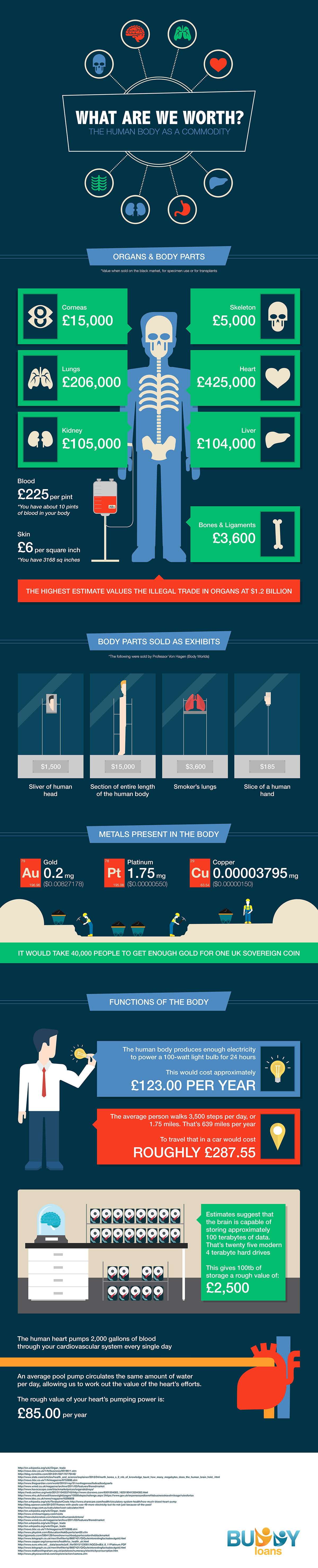 This Is How Much Your Body Is Worth ScienceAlert