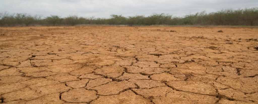 The World Has Lost a Third of Its Farmable Land in The Last 40 Years ...