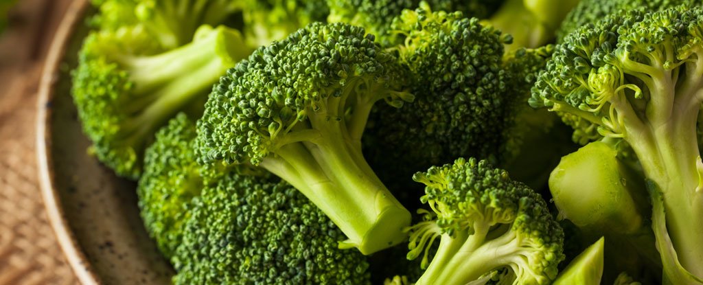 Scientists Just Found a Way to Make Broccoli Even Healthier : ScienceAlert