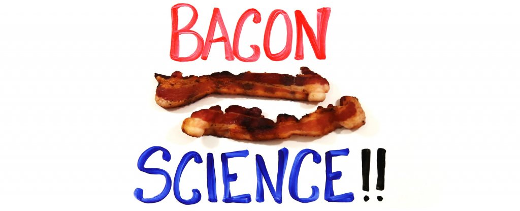 Bacon Thing of the Day: Bacon Watch! | The Worley Gig