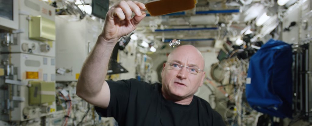 WATCH: Astronaut Plays Ping Pong With Liquid Droplet on Board The ISS ...