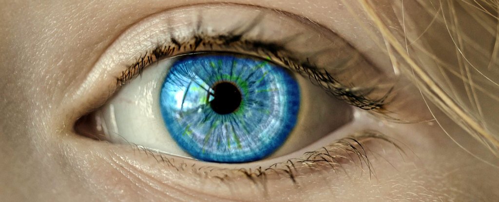This Is The Fascinating Way Blue Eyes Get Their Colour : ScienceAlert