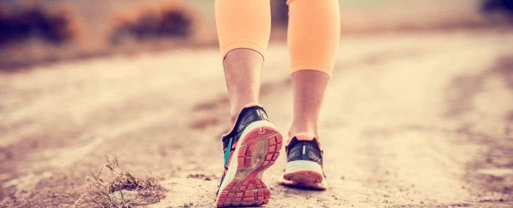 Do You Really Need to Take 10,000 Steps Per Day? : ScienceAlert