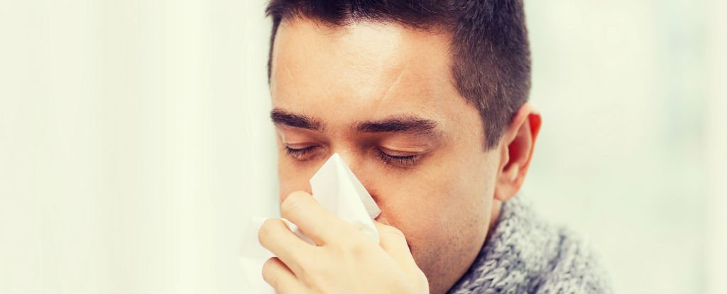 Oestrogen Protects Women From The Flu... But Not Men : ScienceAlert