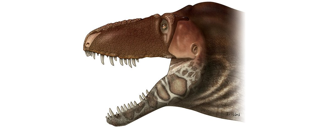 Scientists Have Discovered a Brand New Tyrannosaur With a Super ...