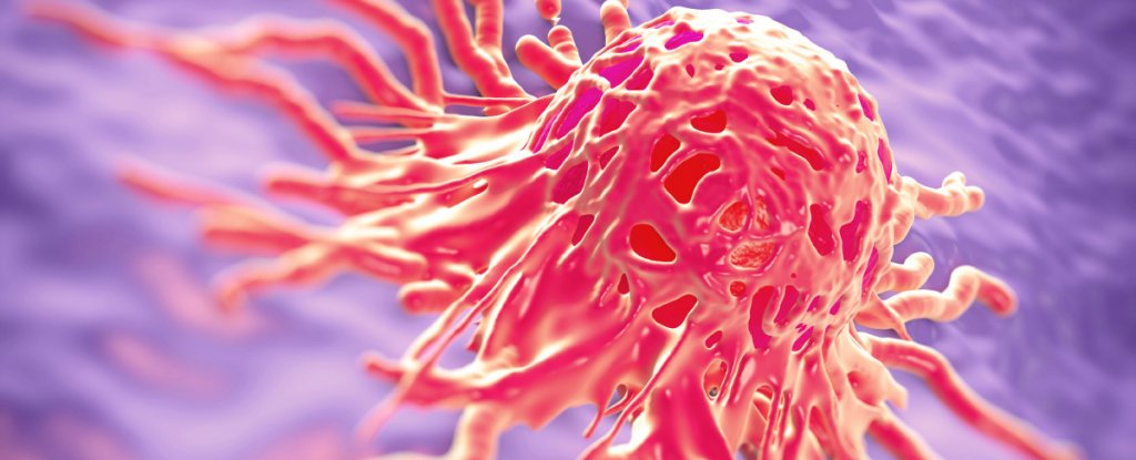 The New HPV Vaccine Can Prevent 80 Percent of Cervical Cancers, Study ...