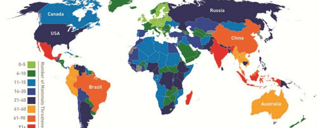 Here's Where The Most Threatened Mammals Are in The World : ScienceAlert