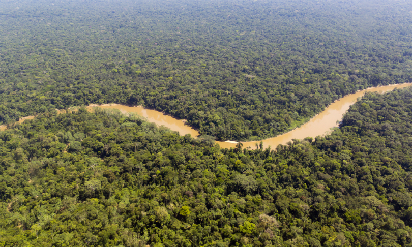 World’s Tropical Forests Declining