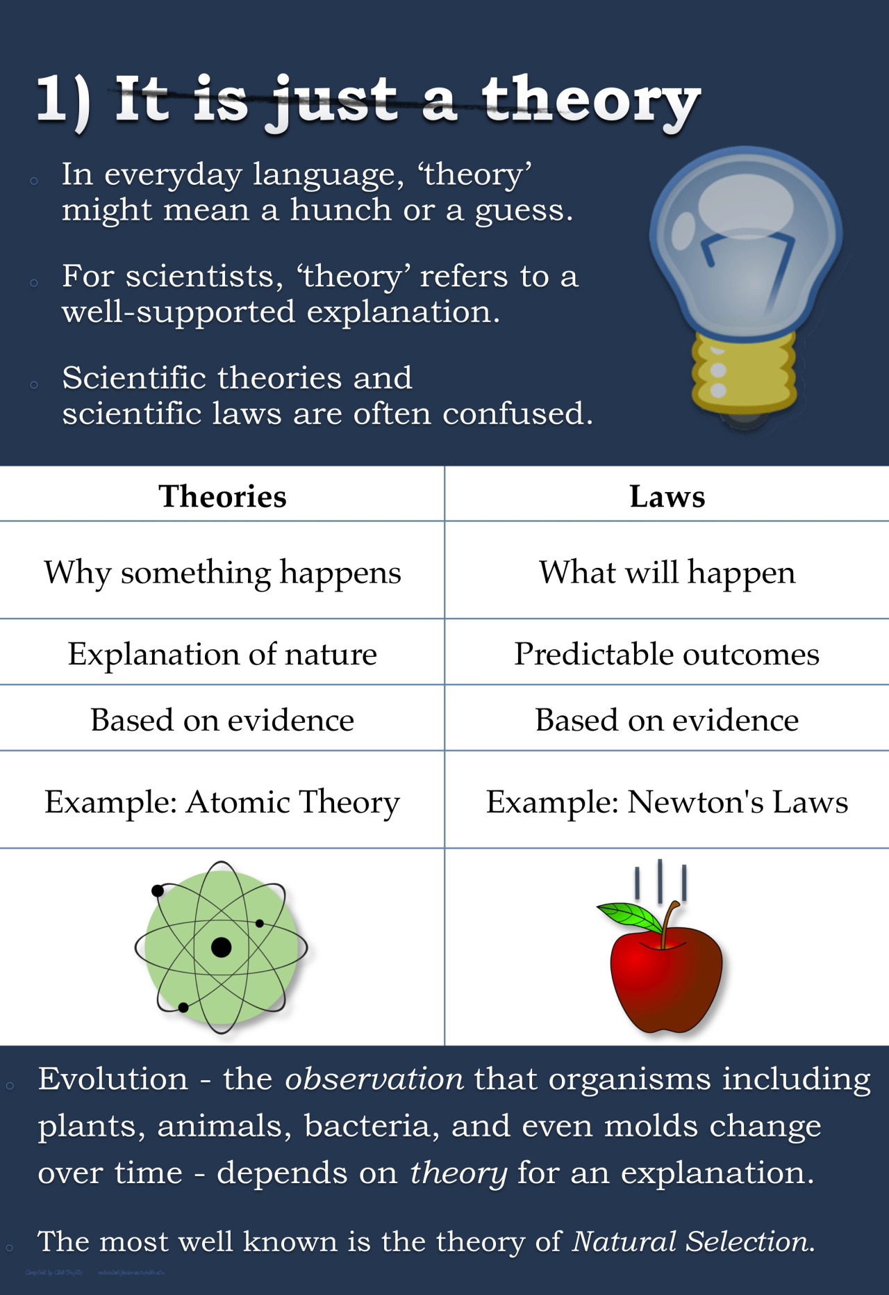what is evolutionary theory in political science